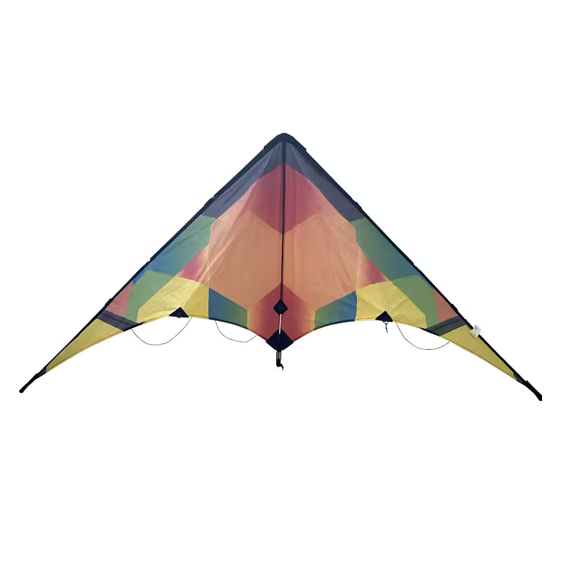 Dual Line Sport Kite