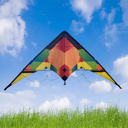 Dual Line Sport Kite