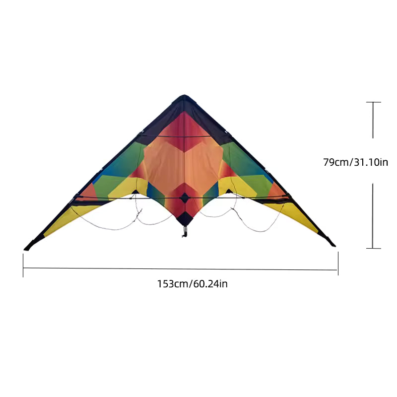 Dual Line Sport Kite